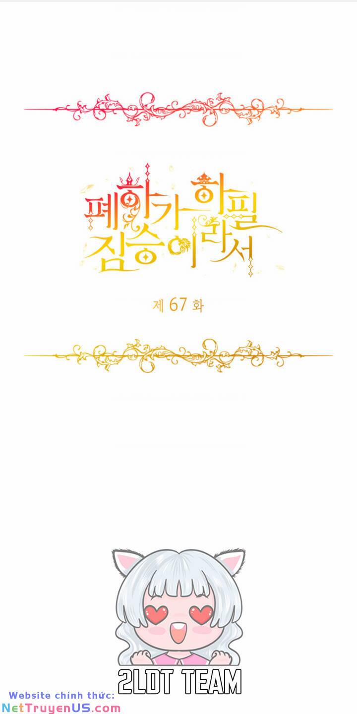 Hoàng Đế Bệ Hạ Là Mãnh Thú 67 trang 0