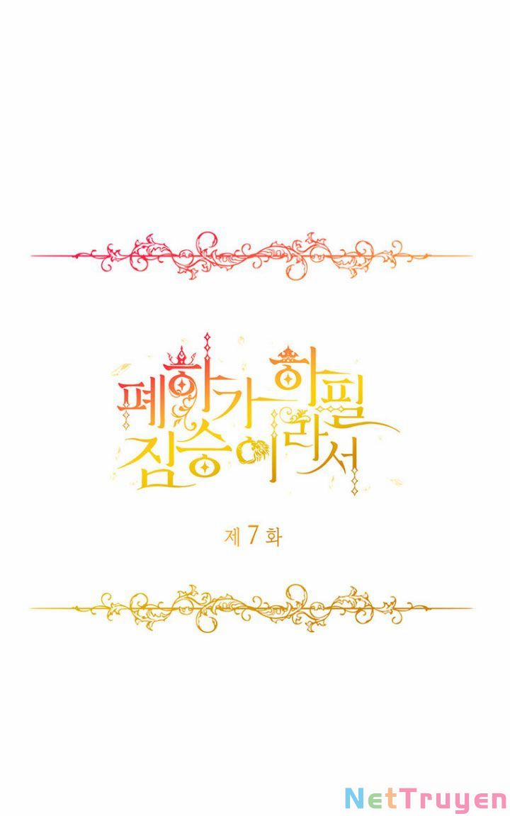 Hoàng Đế Bệ Hạ Là Mãnh Thú 7 trang 1