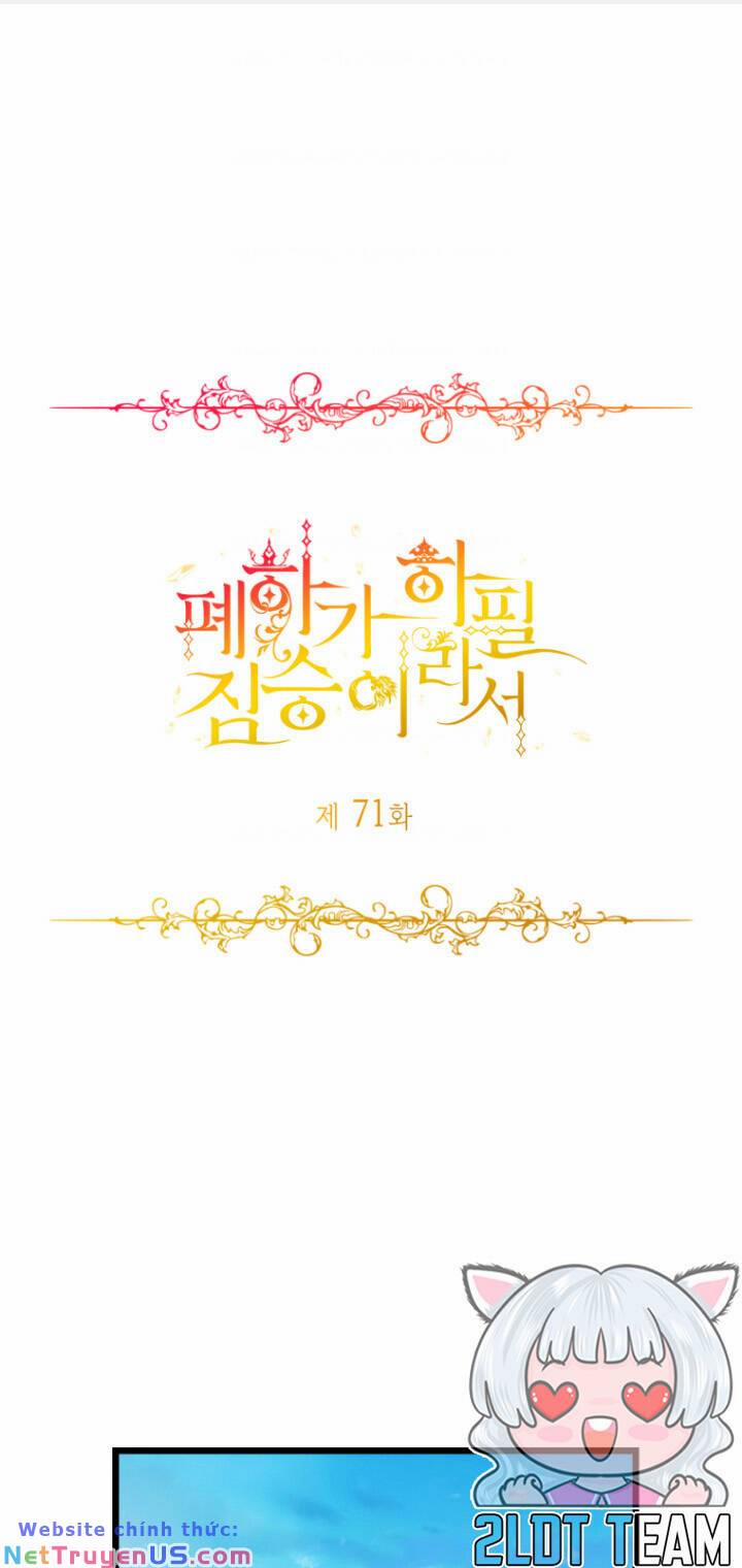 Hoàng Đế Bệ Hạ Là Mãnh Thú 71 trang 0