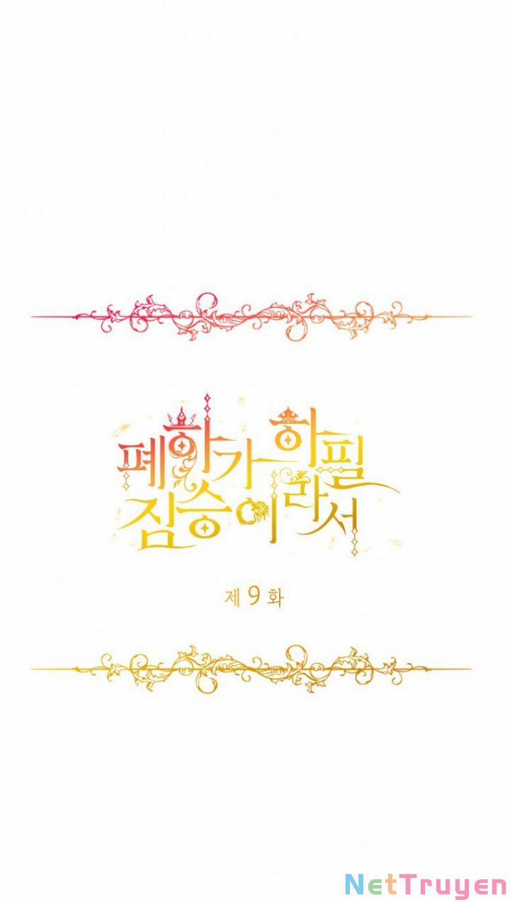 Hoàng Đế Bệ Hạ Là Mãnh Thú 9 trang 25