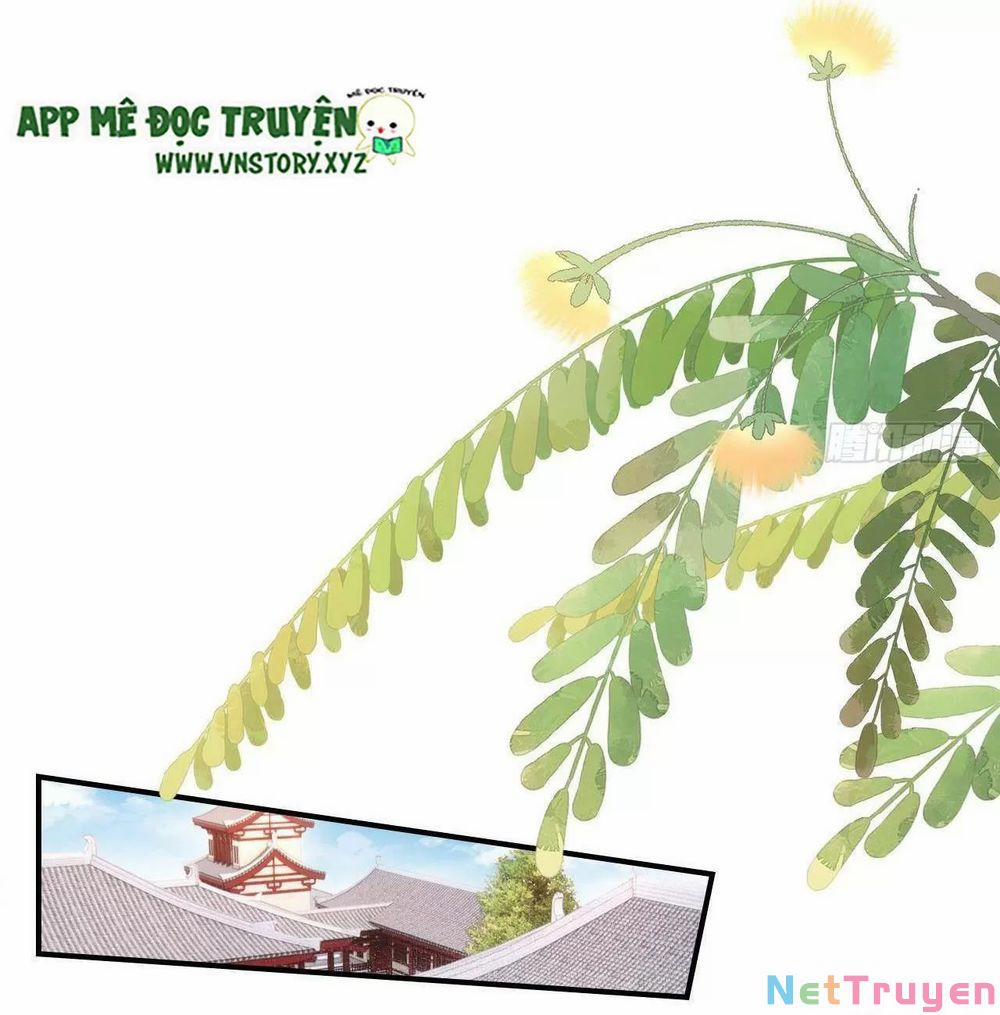 Hoàng Đệ Đừng Nhấc Đao 0 Ma quỷ làm loạn trang 33