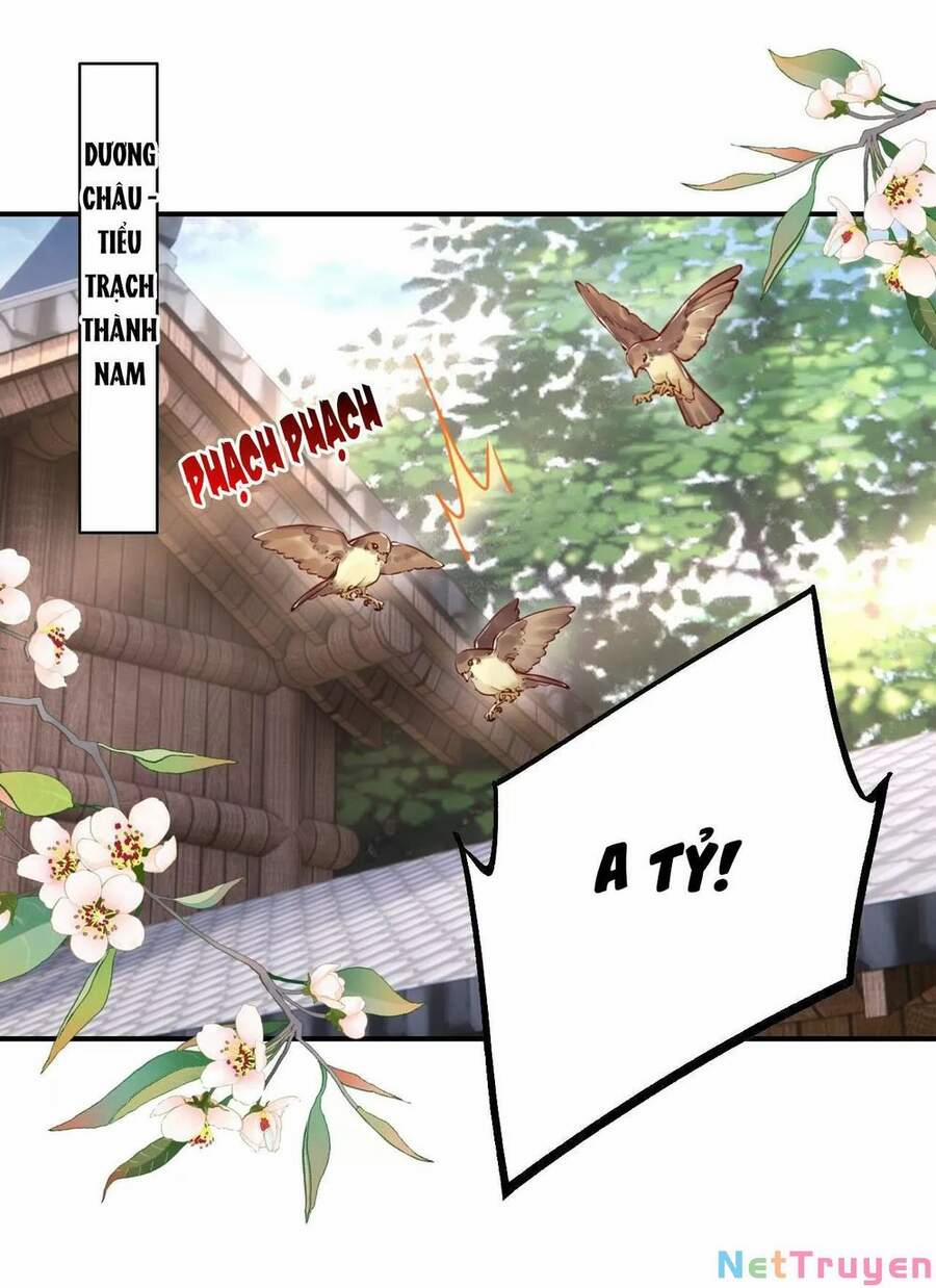 Hoàng Đệ Đừng Nhấc Đao 59 trang 13