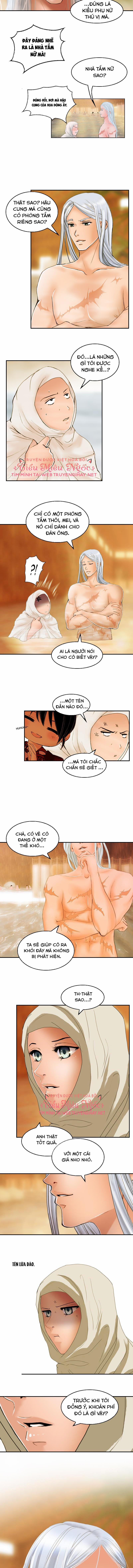 Hoàng Đế Máu Lạnh Của Tôi 16 trang 11