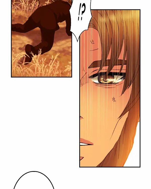 Hoàng Đế Máu Lạnh Của Tôi 87 trang 44