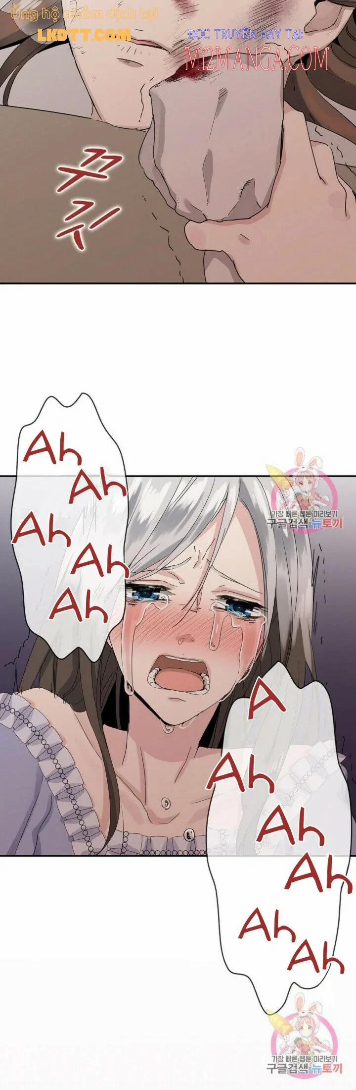 Hoàng Gia Lai 11.5 trang 17