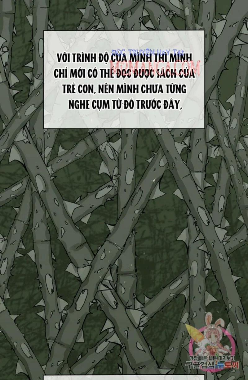 Hoàng Gia Lai 13.5 trang 17