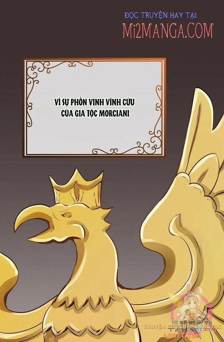 Hoàng Gia Lai 17 trang 23