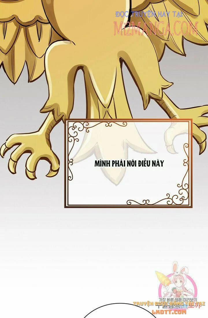 Hoàng Gia Lai 17 trang 24