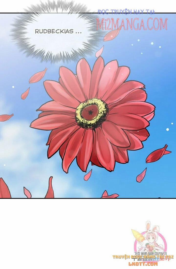 Hoàng Gia Lai 21.5 trang 13