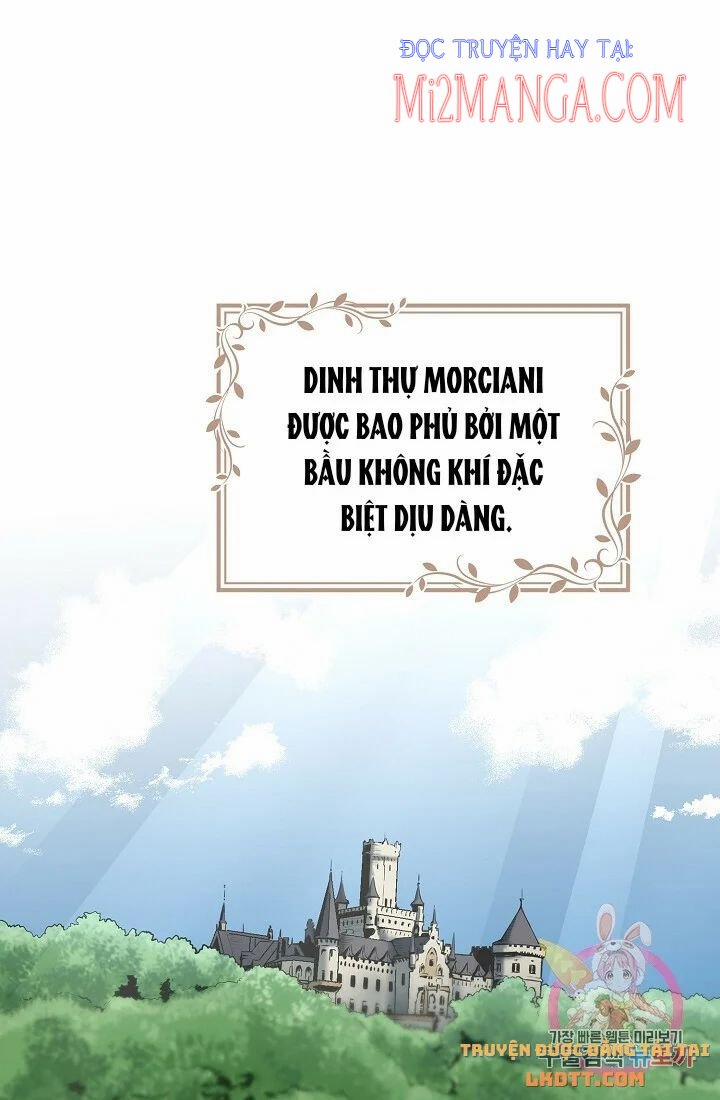 Hoàng Gia Lai 26 trang 0