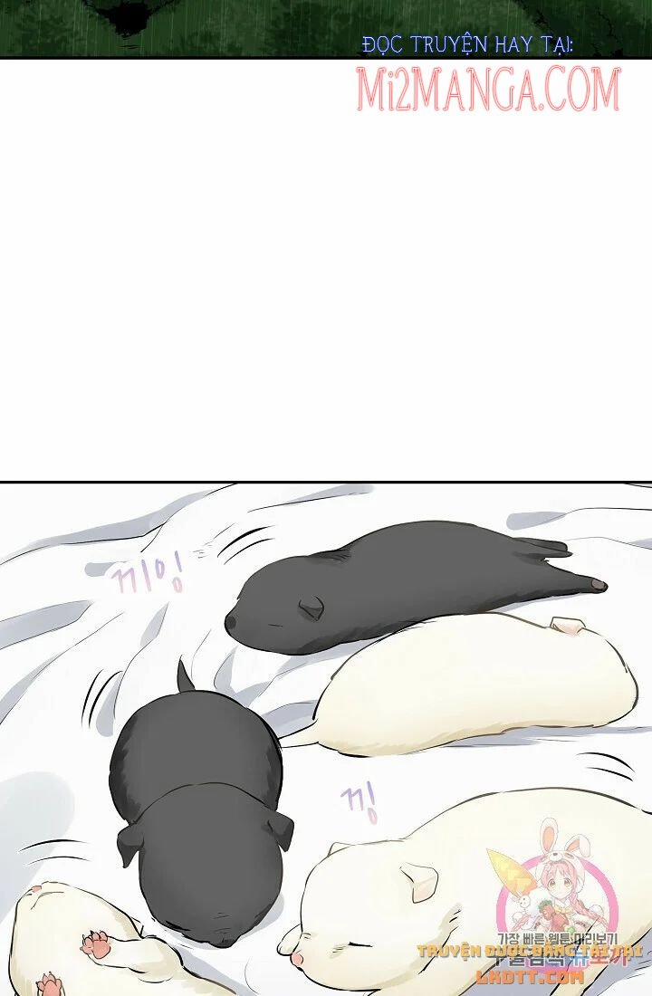 Hoàng Gia Lai 28.5 trang 5