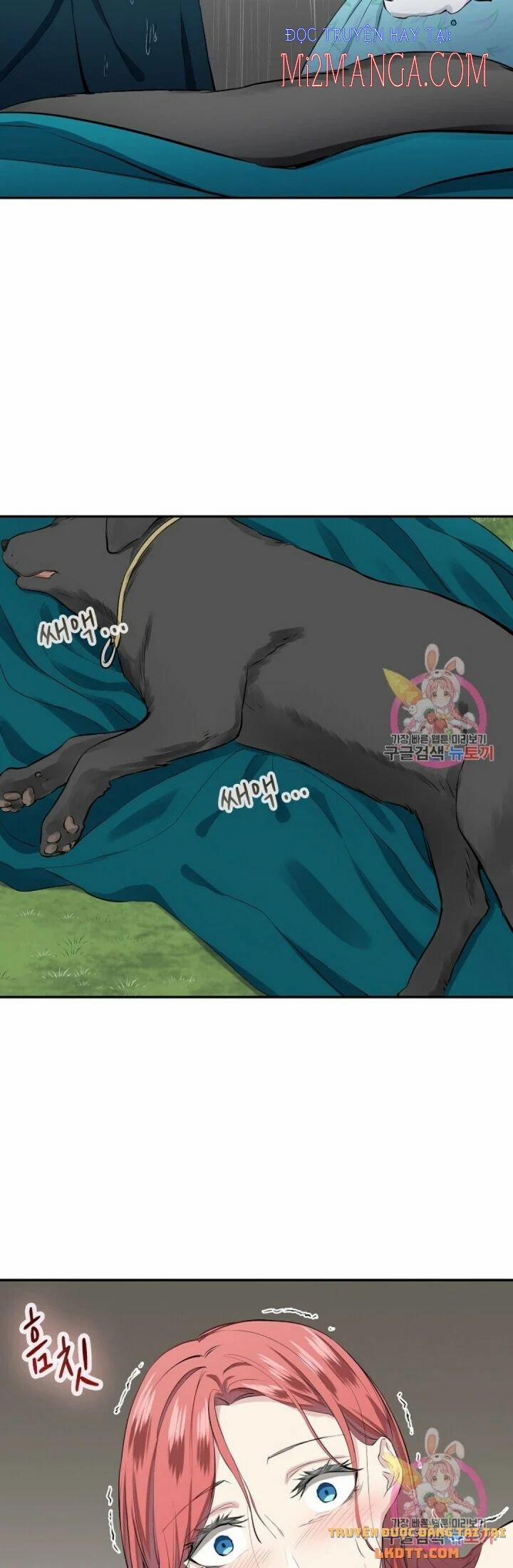 Hoàng Gia Lai 28.5 trang 7