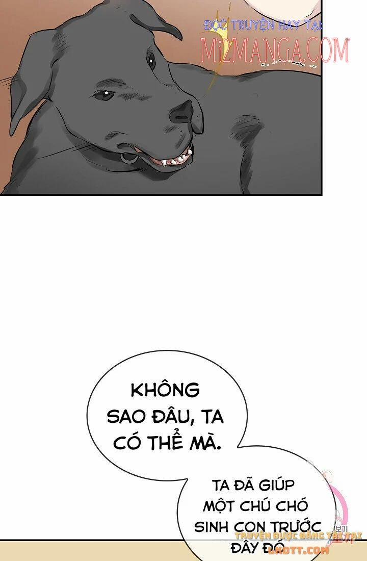 Hoàng Gia Lai 28 trang 20