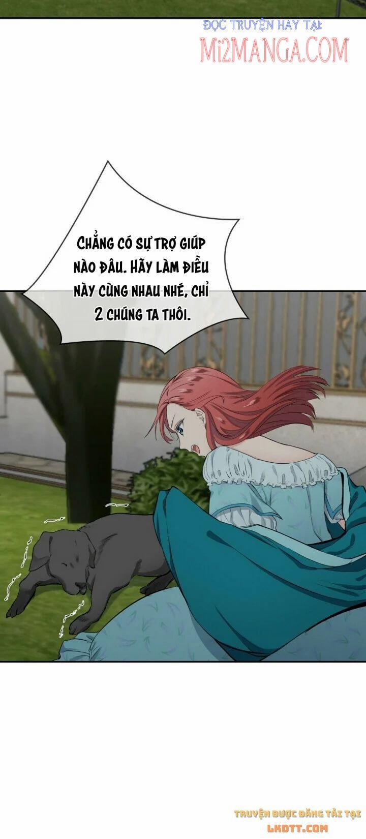 Hoàng Gia Lai 28 trang 25