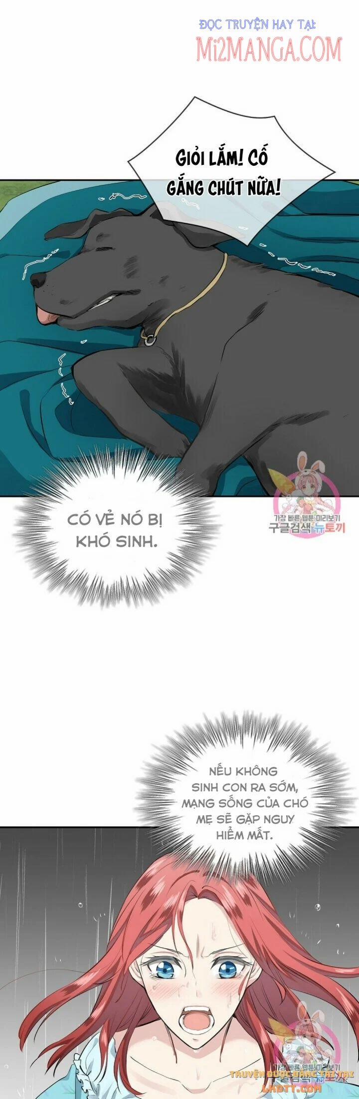 Hoàng Gia Lai 28 trang 29