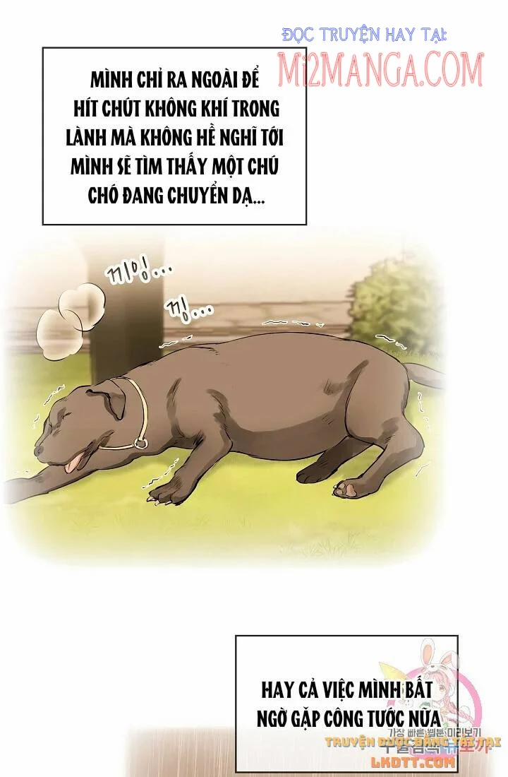 Hoàng Gia Lai 29 trang 16