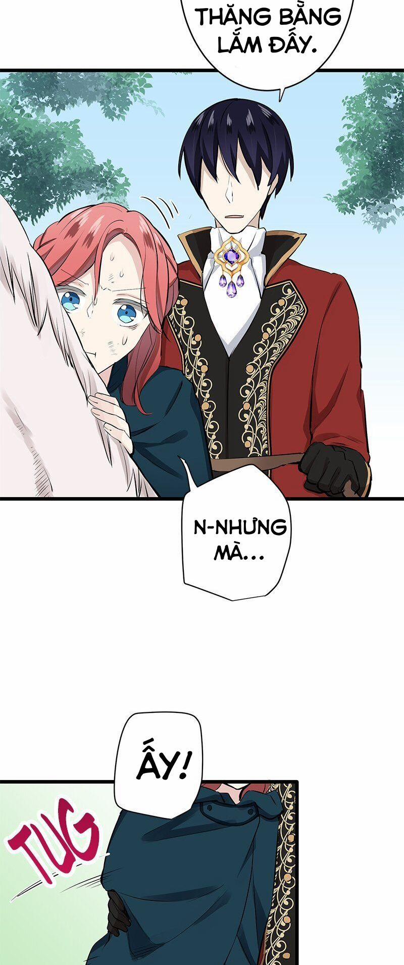 Hoàng Gia Lai 32.5 trang 2