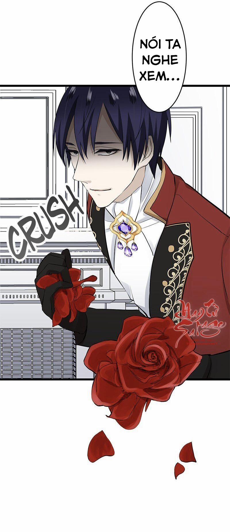 Hoàng Gia Lai 32.5 trang 21