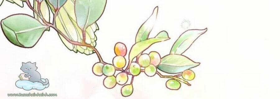 Hoàng Hậu Tái Hôn 112 trang 52