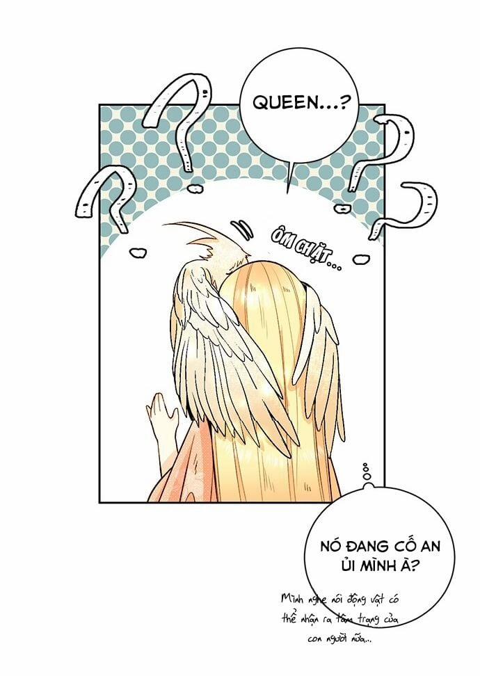 Hoàng Hậu Tái Hôn 24 trang 19