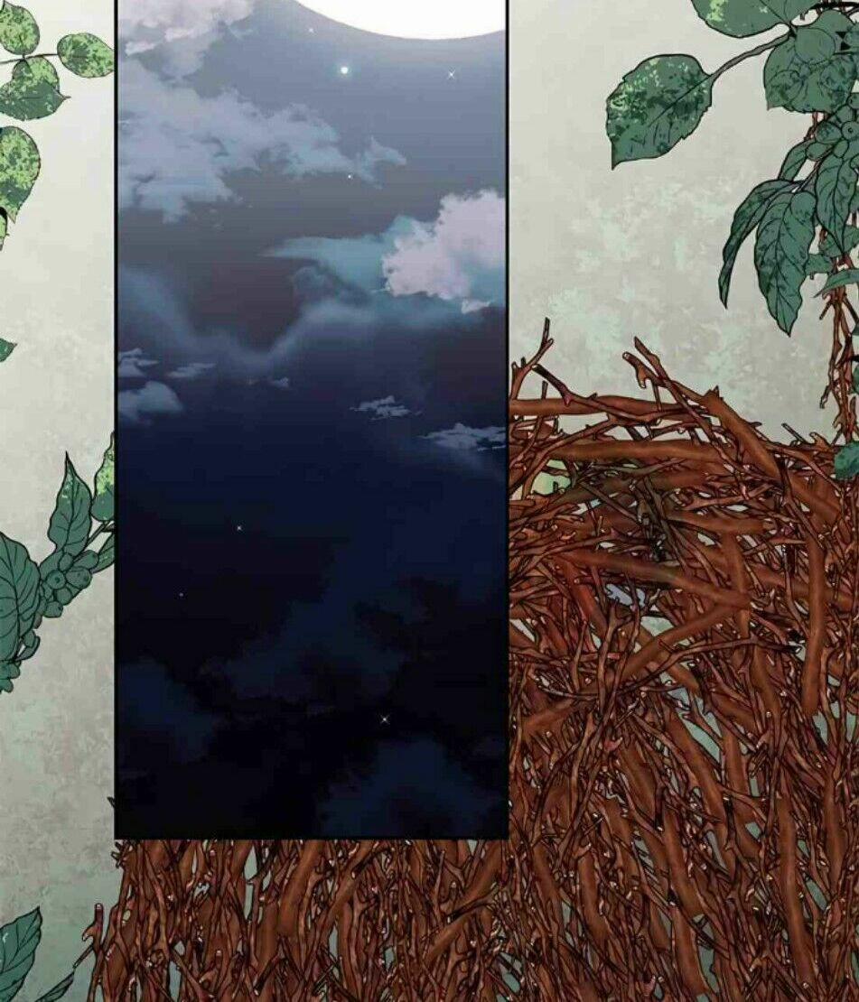 Hoàng Hậu Tái Hôn 8 trang 11