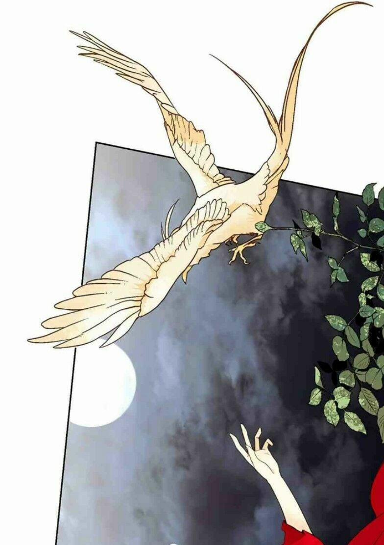 Hoàng Hậu Tái Hôn 8 trang 18