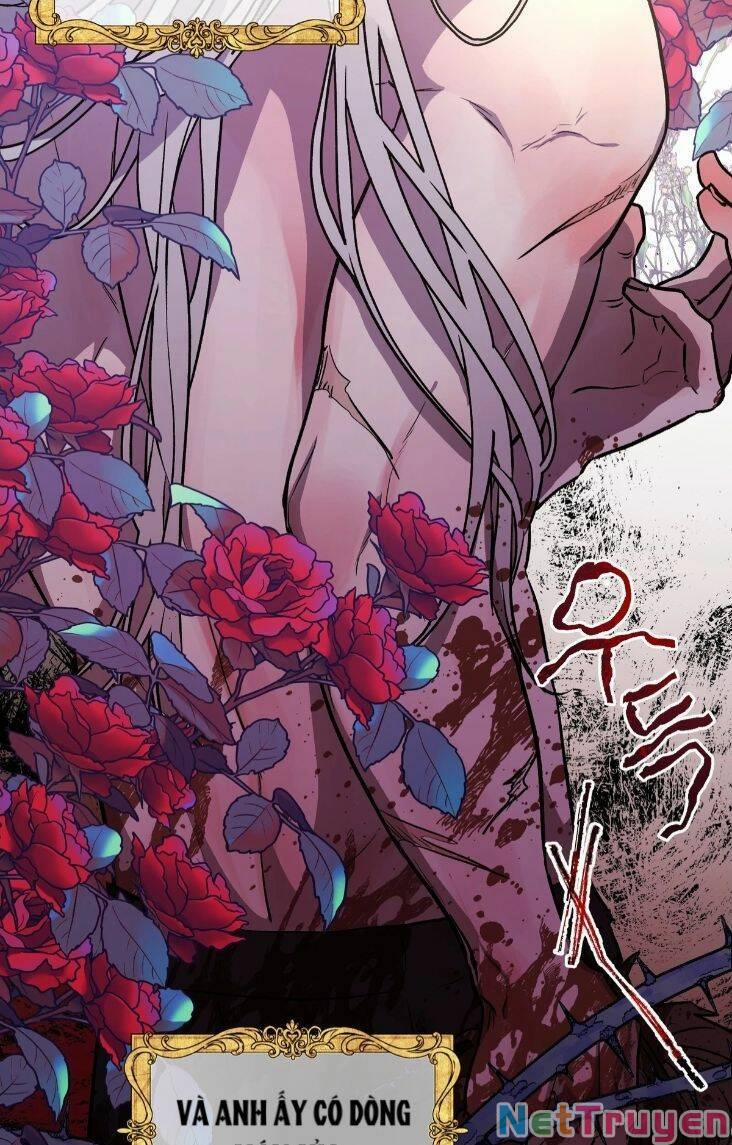 Hoàng Tử Bạch Tuyết Đã Bị Hoàng Hậu Bắt Đi 1 trang 2