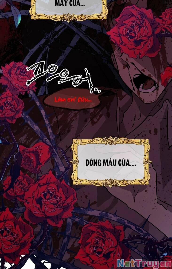 Hoàng Tử Bạch Tuyết Đã Bị Hoàng Hậu Bắt Đi 1 trang 3