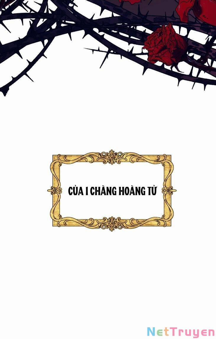 Hoàng Tử Bạch Tuyết Đã Bị Hoàng Hậu Bắt Đi 1 trang 4