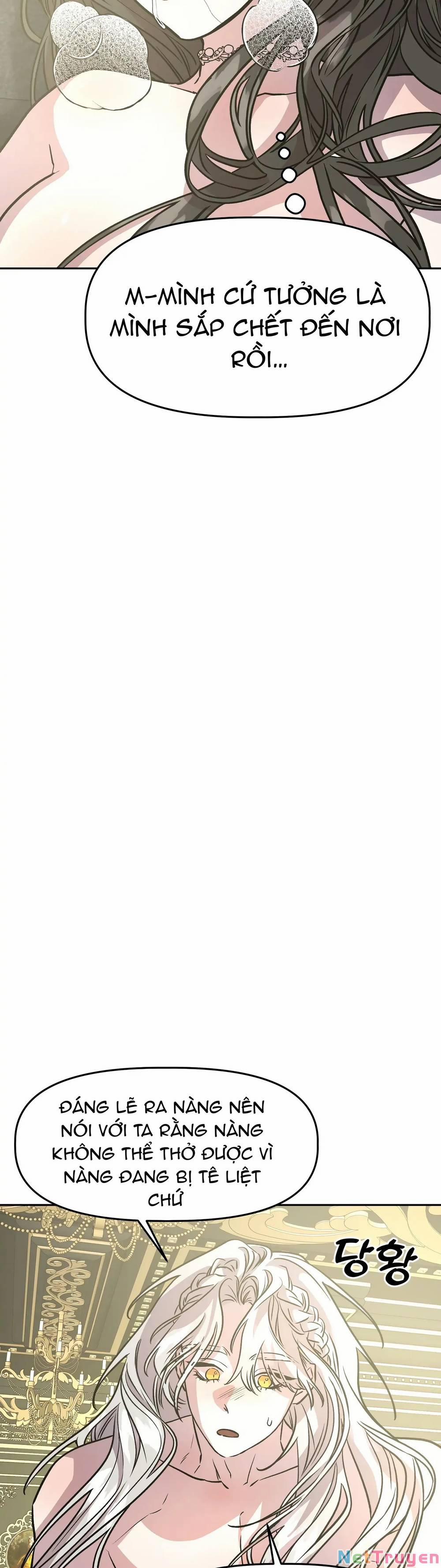 Hoàng Tử Bạch Tuyết Đã Bị Hoàng Hậu Bắt Đi 11 trang 17