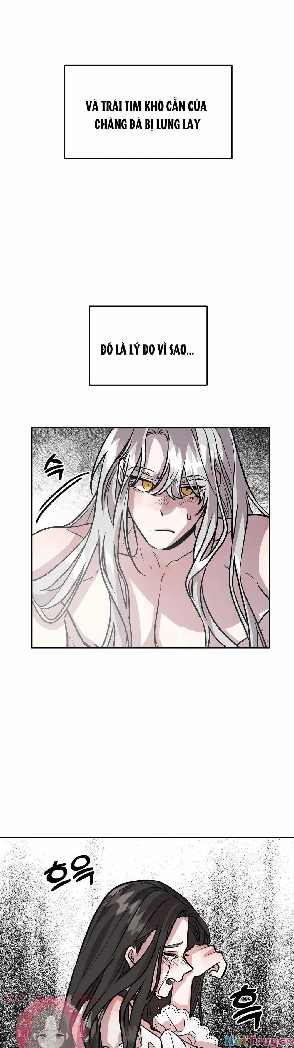 Hoàng Tử Bạch Tuyết Đã Bị Hoàng Hậu Bắt Đi 5 trang 22