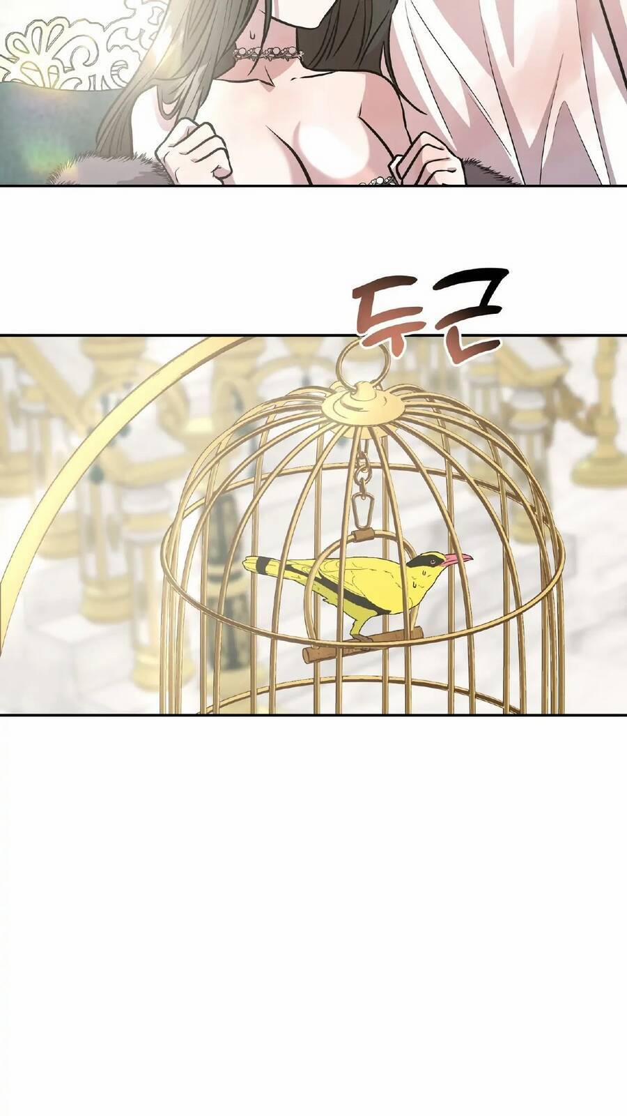 Hoàng Tử Bạch Tuyết Đã Bị Hoàng Hậu Bắt Đi 8 trang 19