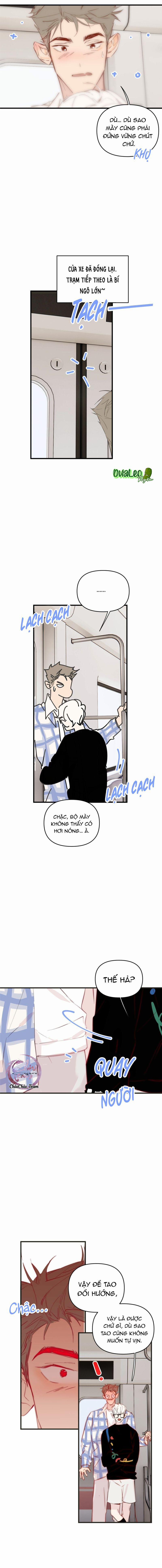 Hoàng Tử Bé 24 trang 4