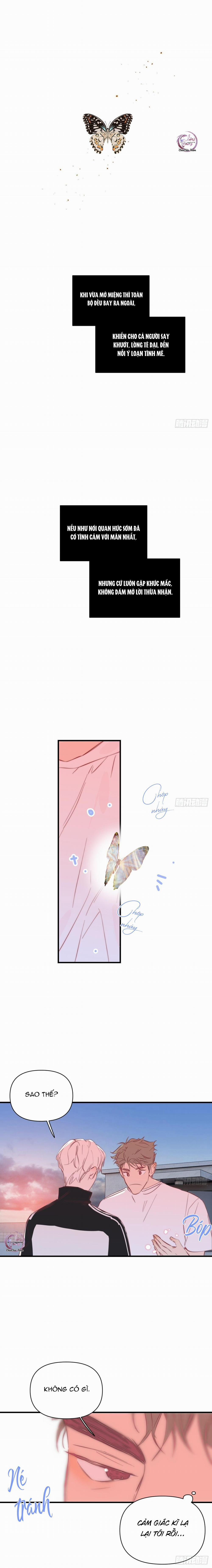 Hoàng Tử Bé 29 trang 10