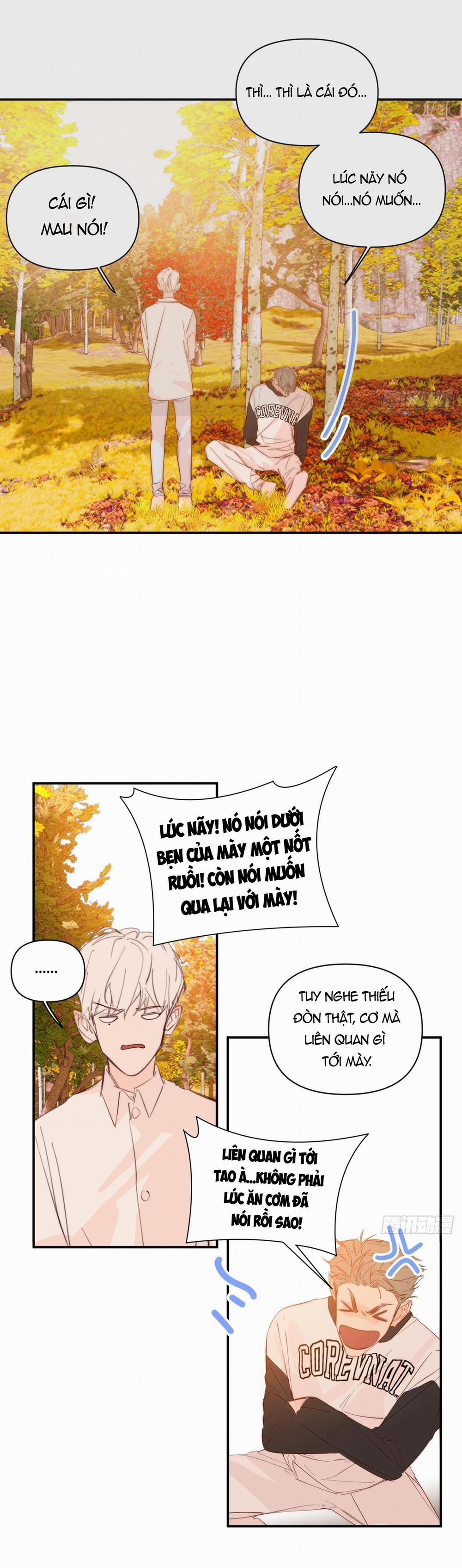 Hoàng Tử Bé 33 trang 10