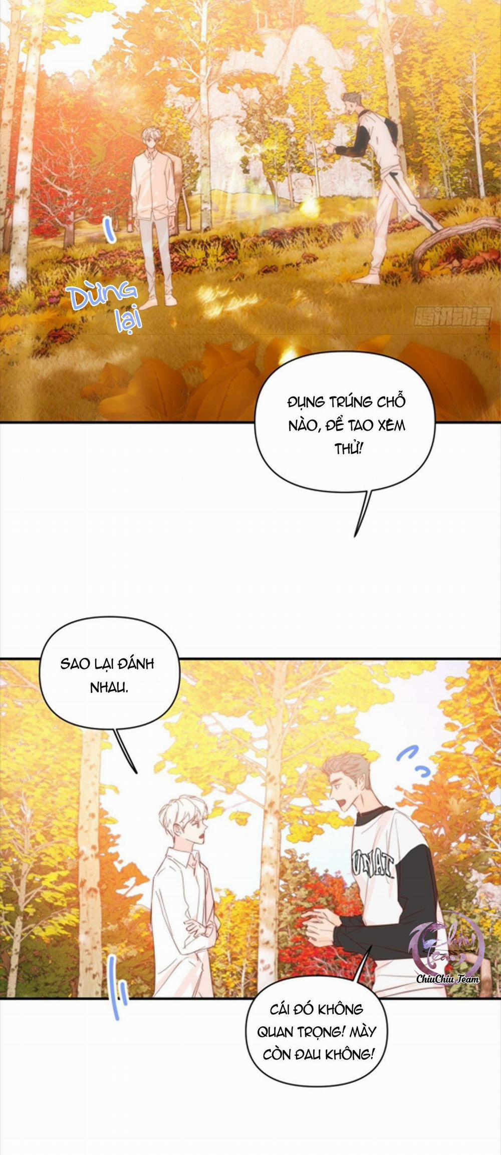 Hoàng Tử Bé 33 trang 8