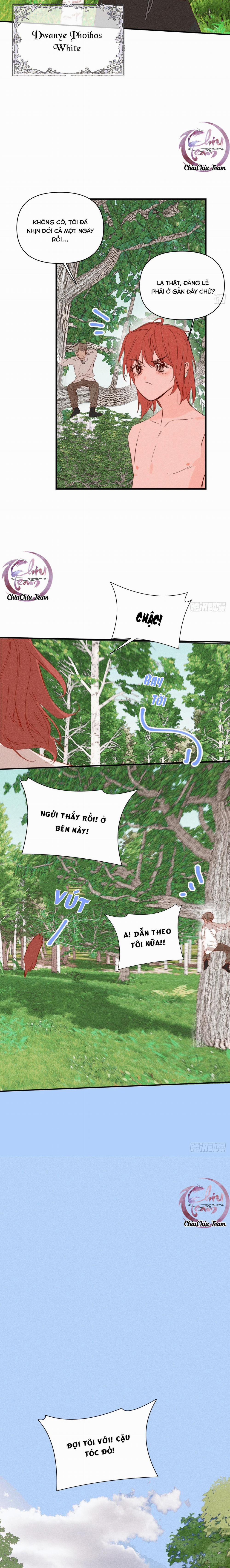 Hoàng Tử Bé 40.1 trang 11