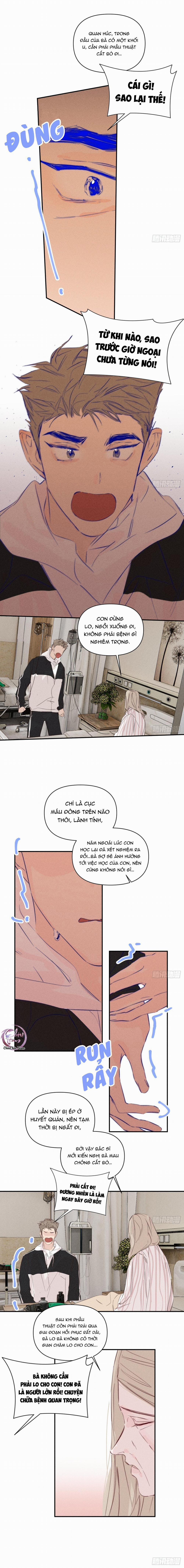 Hoàng Tử Bé 43 trang 5