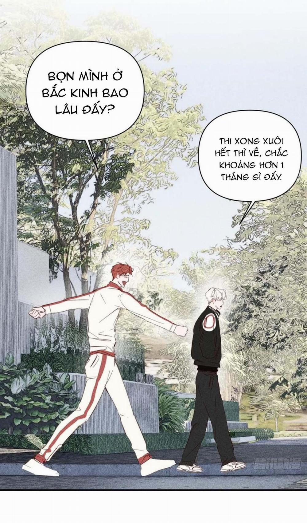 Hoàng Tử Bé 63 trang 19