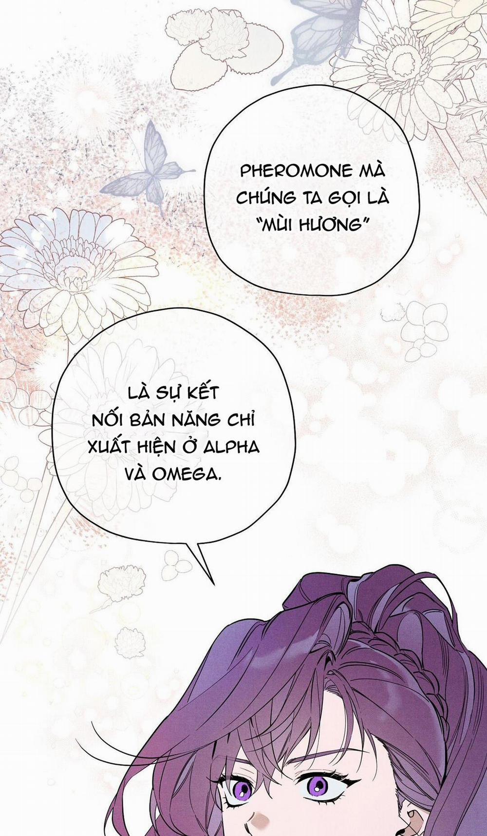 Hoàng Tử Hư Hỏng Che Giấu Mình Là Omega 17 trang 5