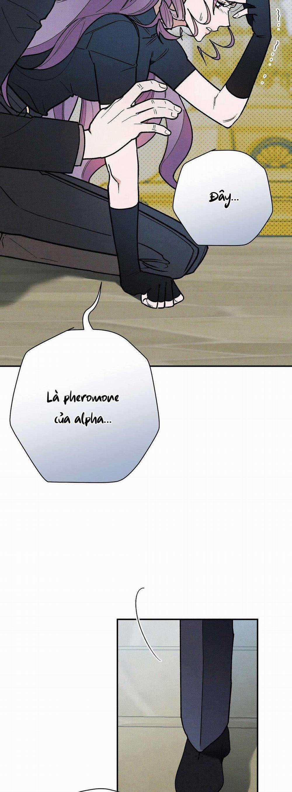 Hoàng Tử Hư Hỏng Che Giấu Mình Là Omega 35 trang 32