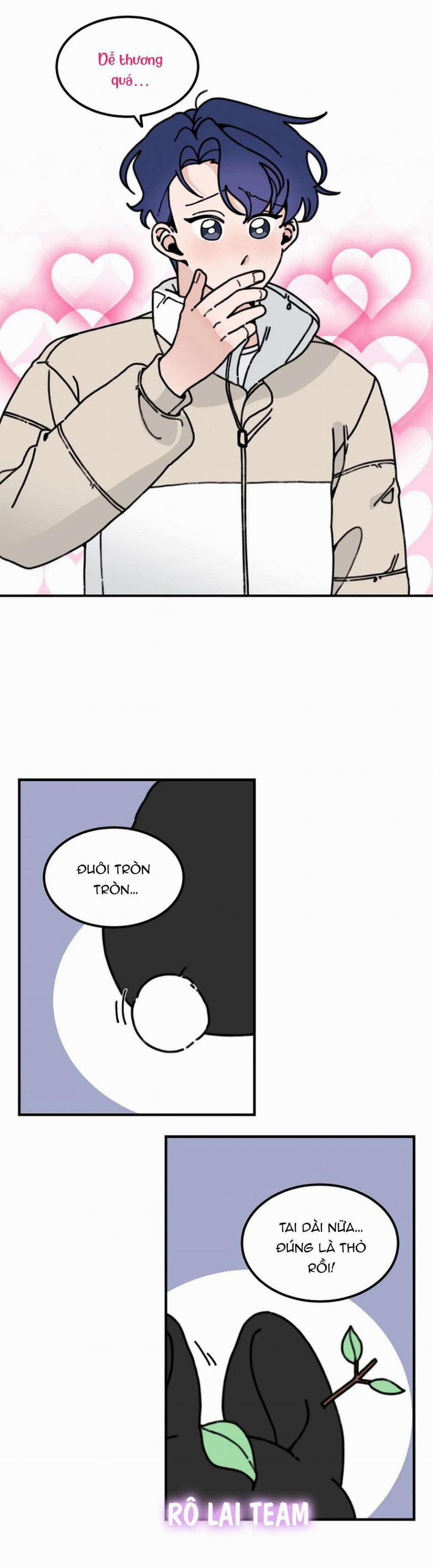 Hoàng Tử Thỏ Trên Cung Trăng 1 trang 10