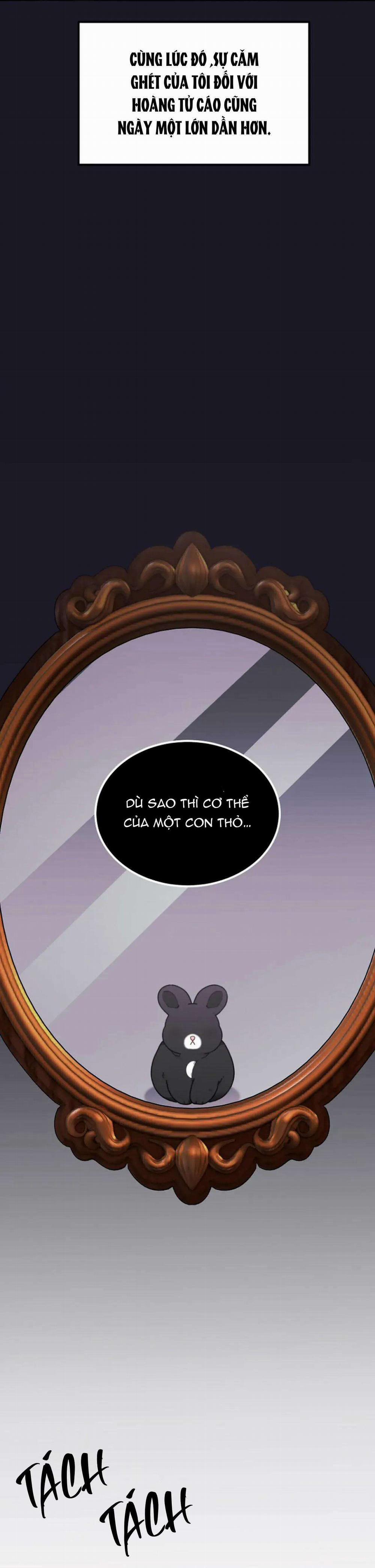 Hoàng Tử Thỏ Trên Cung Trăng 10 trang 3