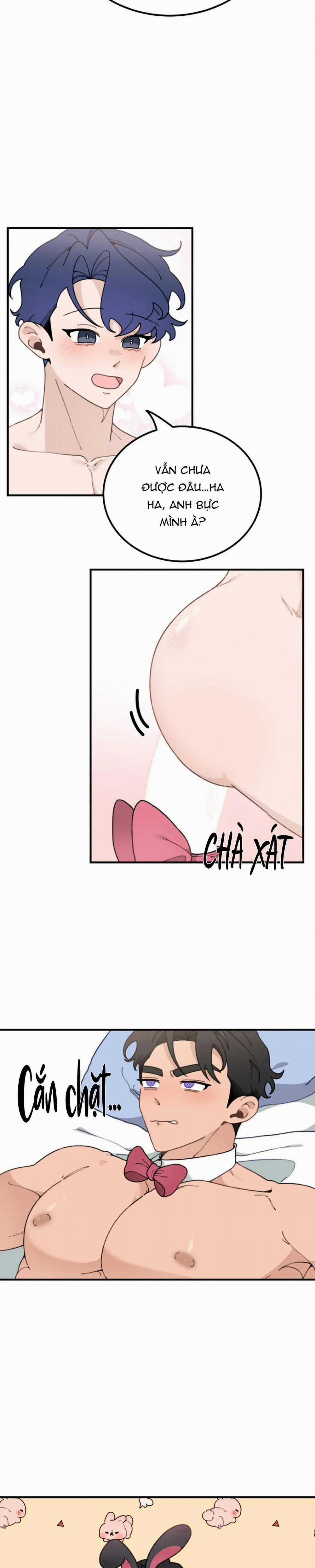 Hoàng Tử Thỏ Trên Cung Trăng 12 trang 11