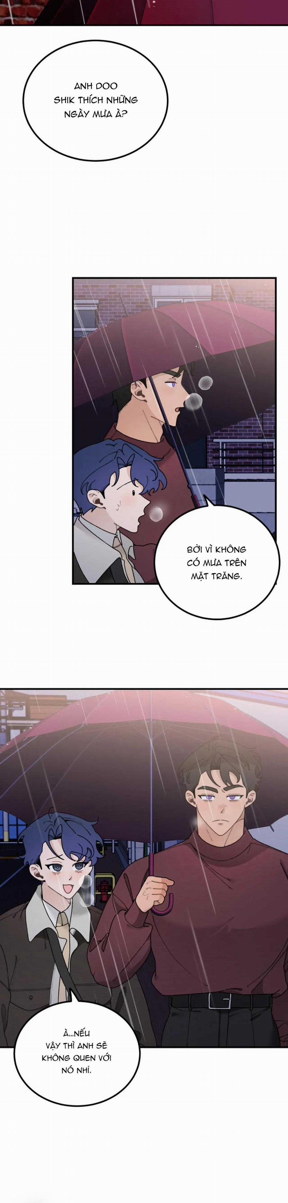 Hoàng Tử Thỏ Trên Cung Trăng 13 trang 10