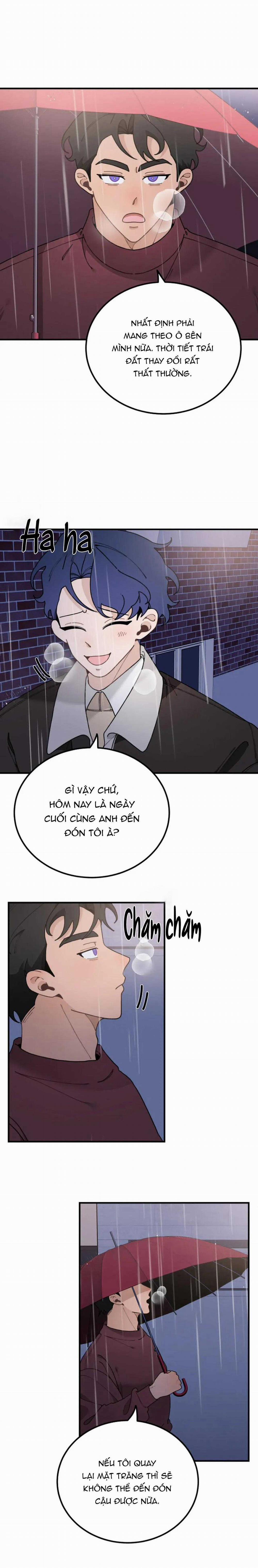 Hoàng Tử Thỏ Trên Cung Trăng 13 trang 16