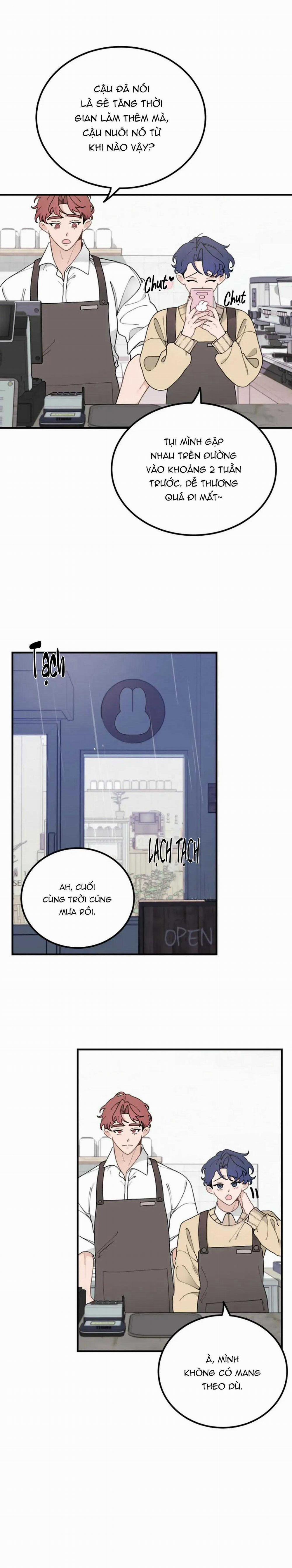 Hoàng Tử Thỏ Trên Cung Trăng 13 trang 2