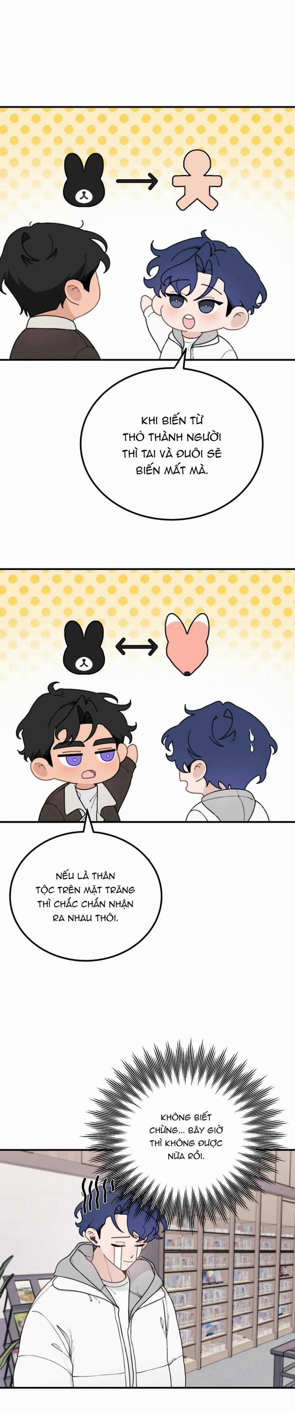 Hoàng Tử Thỏ Trên Cung Trăng 14 trang 3