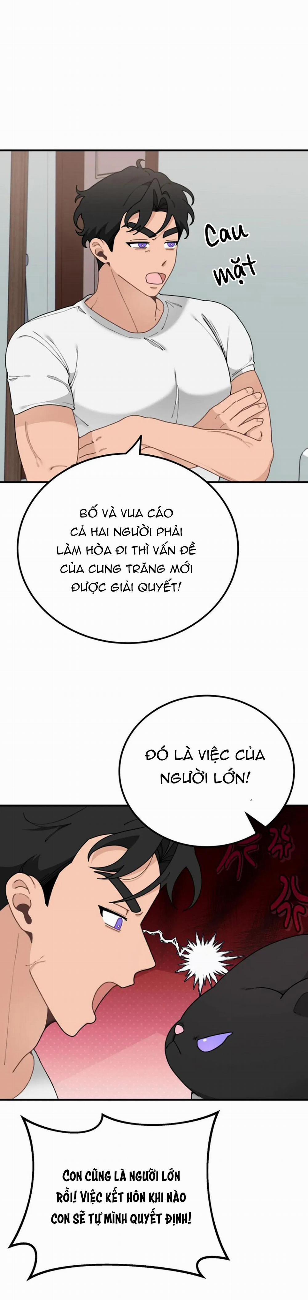 Hoàng Tử Thỏ Trên Cung Trăng 18 trang 12