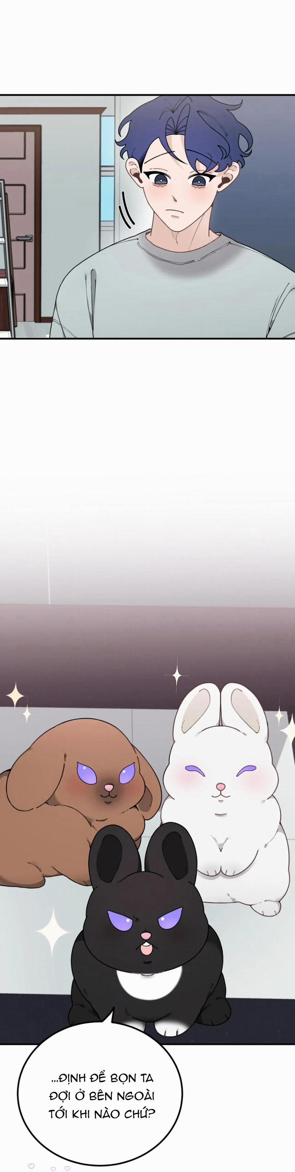 Hoàng Tử Thỏ Trên Cung Trăng 18 trang 2